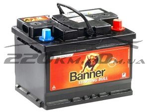Акумулятор для автомобіля Banner Starting Bull 60R+(BAN56009SB) купити з доставкою в інтернет магазині - 220km.com