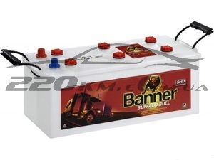 Вантажний акумулятор для автомобіля Banner Buffalo Bull SHD Professional 180 (BANSHDPRO68008) купити з доставкою в інтернет магазині - 220km.com