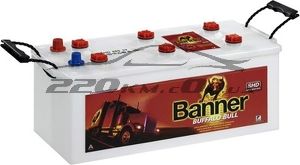 Вантажний акумулятор для автомобіля Banner Buffalo Bull 125L+(BAN62513BB) купити з доставкою в інтернет магазині - 220km.com